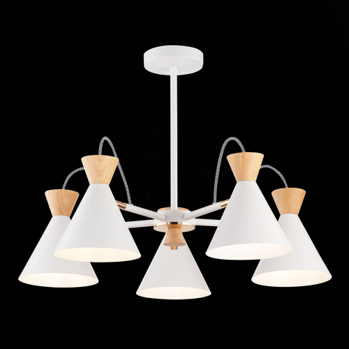 Потолочная люстра Evoluce Modica SLE125102-05 изображение в интернет-магазине Cramer Light фото 3