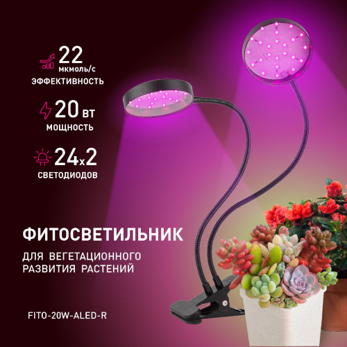 Настольная лампа Эра FITO-20W-АLED-R Б0053290 изображение в интернет-магазине Cramer Light фото 6