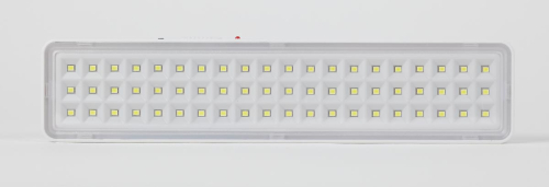 Аварийный светильник Эра DBA-103-0-20 Б0044396 изображение в интернет-магазине Cramer Light фото 2