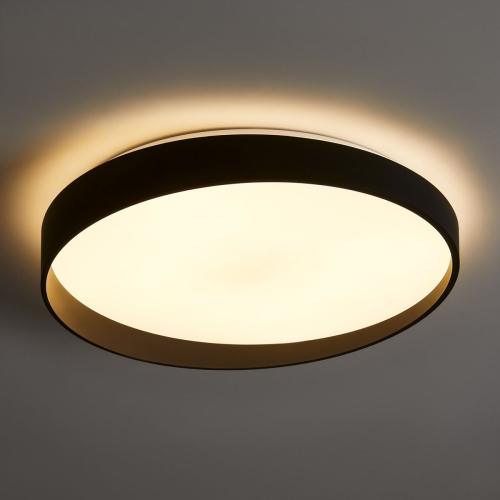 Потолочный светильник Freya Pass FR6222CL-L84B изображение в интернет-магазине Cramer Light фото 5