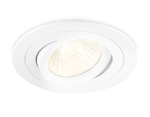 Встраиваемый светильник Ambrella Light Techno Spot TN102501 изображение в интернет-магазине Cramer Light