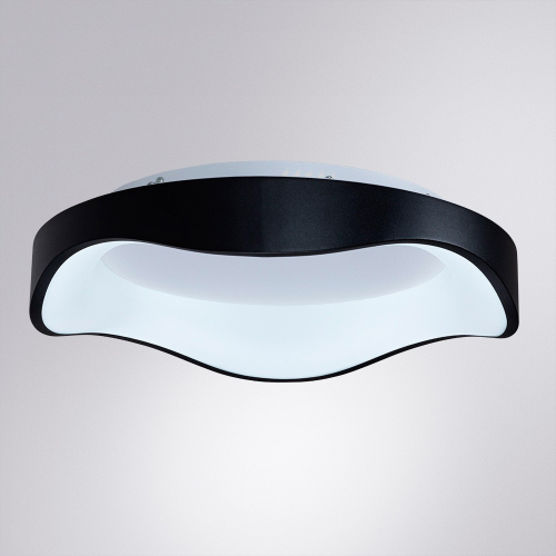 Потолочный светильник Arte Lamp Ankaa A3085PL-48BK изображение в интернет-магазине Cramer Light фото 3