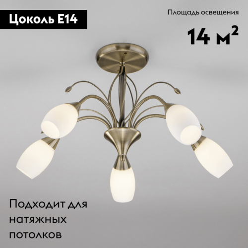 Потолочная люстра Eurosvet Ginevra 30280/5 античная бронза изображение в интернет-магазине Cramer Light фото 2