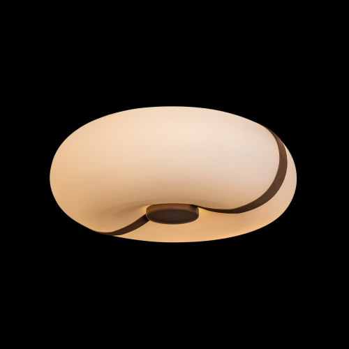 Потолочный светильник LOFT IT Bolina 10473 изображение в интернет-магазине Cramer Light фото 2