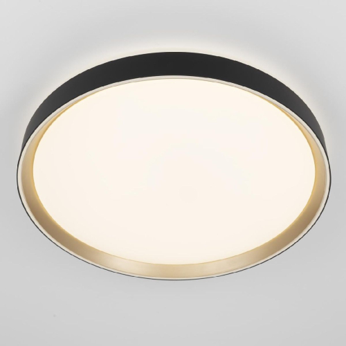 Потолочный светильник Citilux Boss CL751451G изображение в интернет-магазине Cramer Light фото 2