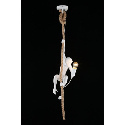 Подвесной светильник Aployt Magali APL.309.06.01 изображение в интернет-магазине Cramer Light фото 8