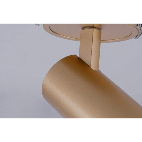Встраиваемый спот iLedex Technical Plum 100 BRASS изображение в интернет-магазине Cramer Light фото 4