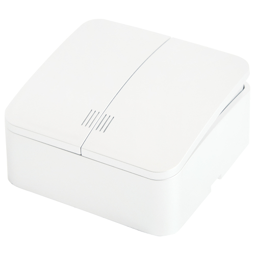 Выключатель двухклавишный Stekker София MSW10-21-01 49290 дополнительное фото