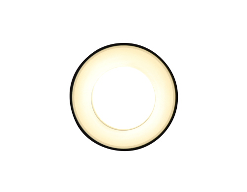 Потолочный светильник Ambrella Light Techno Spot TN3412 изображение в интернет-магазине Cramer Light фото 3