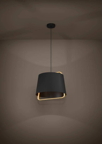 Подвесной светильник Eglo Camaloza 390185 изображение в интернет-магазине Cramer Light фото 2