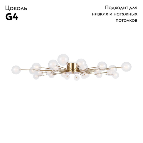 Потолочная люстра Freya Celebrity FR5242CL-24BS1 изображение в интернет-магазине Cramer Light фото 2