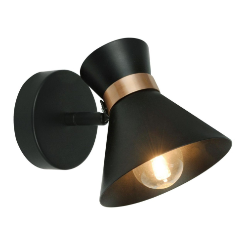 Спот Arte Lamp Baltimore A1406AP-1BK изображение в интернет-магазине Cramer Light фото 5