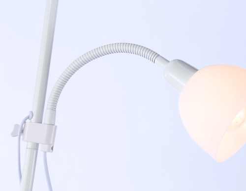 Торшер Ambrella Light Floor TR97622 изображение в интернет-магазине Cramer Light фото 4