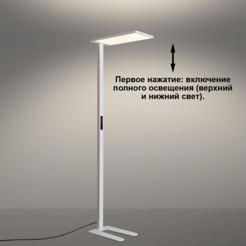 Торшер Novotech Ledo Studi 359545 изображение в интернет-магазине Cramer Light фото 5