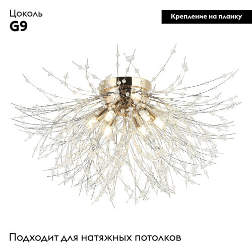 Потолочная люстра Lussole Davie LSP-8782 изображение в интернет-магазине Cramer Light фото 2