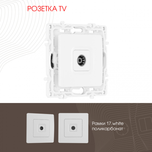 Розетка TV Arte Milano 217.43-1.white дополнительное фото