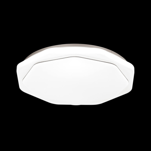 Настенно-потолочный светильник Sonex Vesta 3002/EL изображение в интернет-магазине Cramer Light фото 2