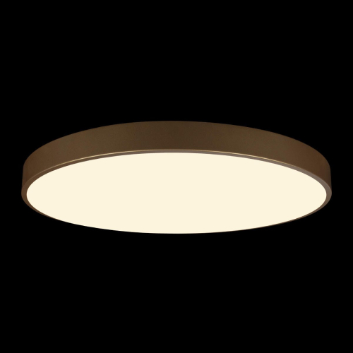 Потолочный светильник Loft IT Flims 10228/B изображение в интернет-магазине Cramer Light фото 4