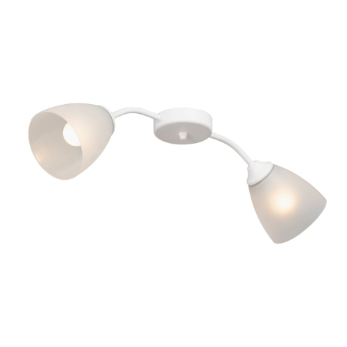 Потолочный светильник Vitaluce V3750/2PL изображение в интернет-магазине Cramer Light