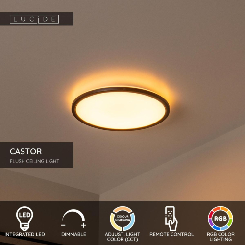 Потолочный светильник Lucide Castor 07120/22/30 изображение в интернет-магазине Cramer Light фото 3