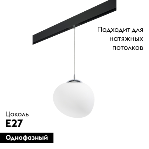 Трековый светильник Lightstar Arnia PRO805016 (805016+595007) изображение в интернет-магазине Cramer Light фото 2