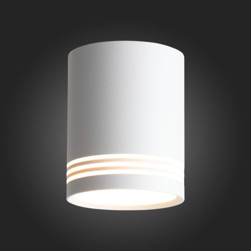 Накладной светильник ST Luce ST101.502.12 изображение в интернет-магазине Cramer Light фото 3