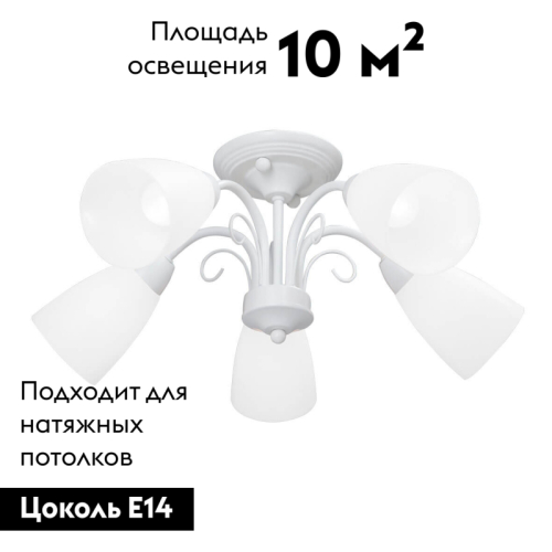 Потолочная люстра Vitaluce V3499-0/5PL изображение в интернет-магазине Cramer Light фото 2