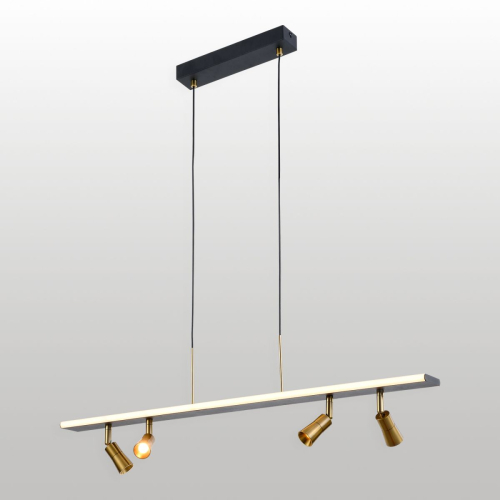 Линейный подвесной светильник Lussole LSP-4024 изображение в интернет-магазине Cramer Light