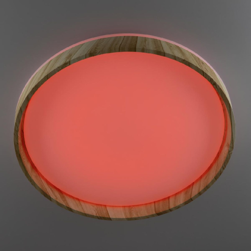 Потолочный светильник Citilux Enzo CL753452G изображение в интернет-магазине Cramer Light фото 5