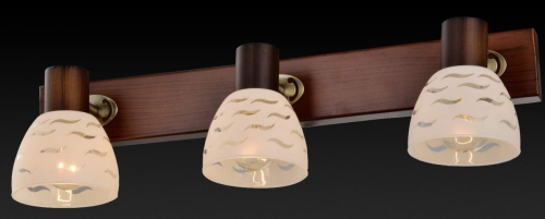 Спот Toplight Shayla TL3730Y-03BB изображение в интернет-магазине Cramer Light фото 3