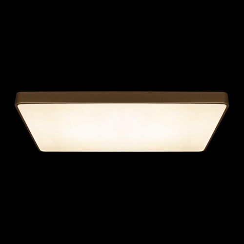 Потолочный светильник Loft IT Flims 10228/E изображение в интернет-магазине Cramer Light фото 6