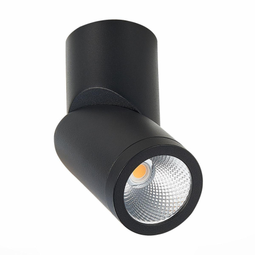 Светодиодный спот ST Luce ST650.442.10 изображение в интернет-магазине Cramer Light