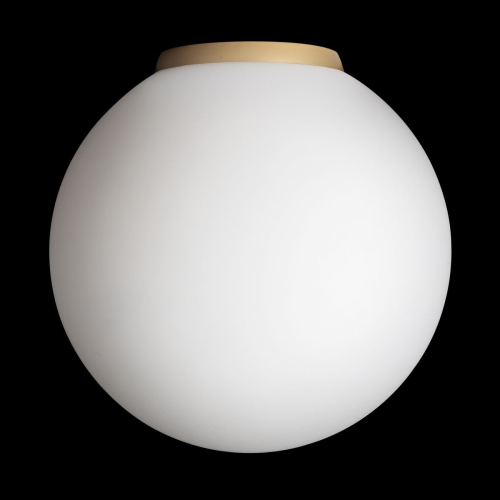 Потолочный светильник Citilux Ron CL941D20B2 изображение в интернет-магазине Cramer Light