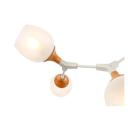 Потолочный светильник EVOLUCE CIOTOLLA SLE113502-05 изображение в интернет-магазине Cramer Light фото 3