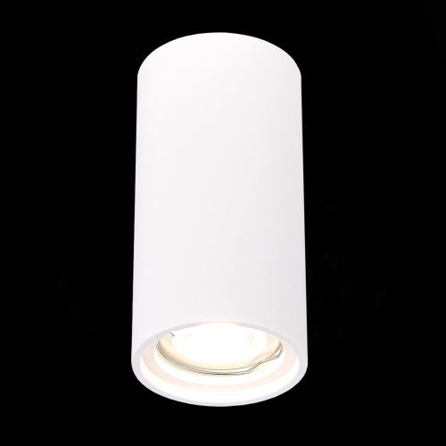 Потолочный светильник ST Luce ST155.502.01 изображение в интернет-магазине Cramer Light фото 3