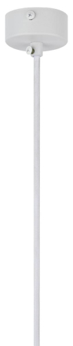 Подвесной светильник Эра PL 16 WH Б0055573 изображение в интернет-магазине Cramer Light фото 3