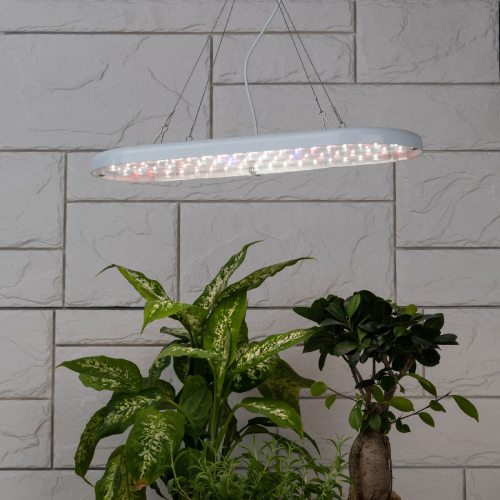 Тросовый подвес Эра FITO-Cabel-rope  Б0063889 изображение в интернет-магазине Cramer Light фото 6