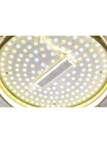 Потолочный светильник Zortes Gerda ZRS.1097.60 изображение в интернет-магазине Cramer Light фото 11