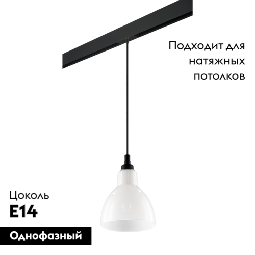 Трековый светильник Lightstar Loft PRO865017 (865017+595007) изображение в интернет-магазине Cramer Light фото 2