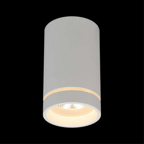 Потолочный светильник Aployt Edda APL.0053.09.10 изображение в интернет-магазине Cramer Light фото 7