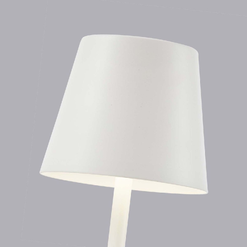 Настольная лампа F-Promo Pyari 4614-1T изображение в интернет-магазине Cramer Light фото 4
