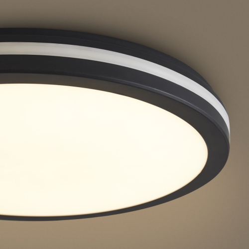 Потолочный светильник Freya Rua FR6160CL-L40B изображение в интернет-магазине Cramer Light фото 8