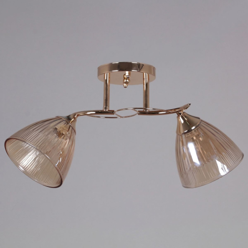 Потолочный светильник Reluce 02560-0.3-02 FG изображение в интернет-магазине Cramer Light фото 3