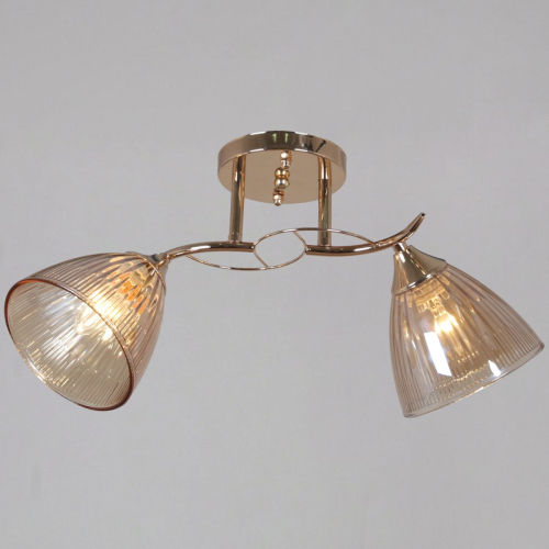 Потолочный светильник Reluce 02560-0.3-02 FG изображение в интернет-магазине Cramer Light