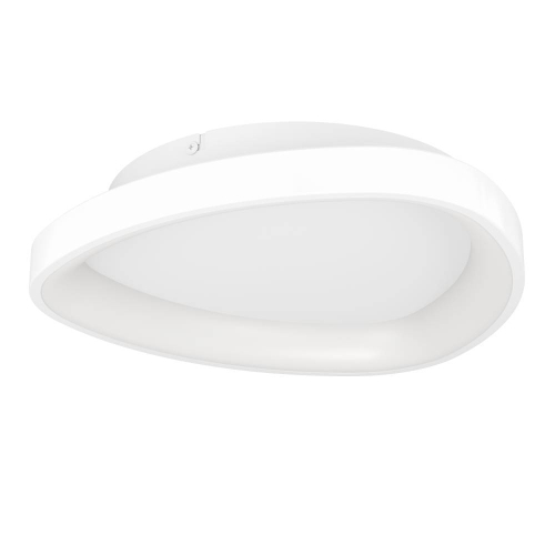 Потолочный светильник Eglo Loretello 901583 изображение в интернет-магазине Cramer Light