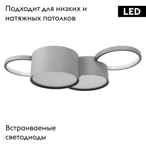 Потолочная люстра Loft IT Pin 10317/4 Grey изображение в интернет-магазине Cramer Light фото 2