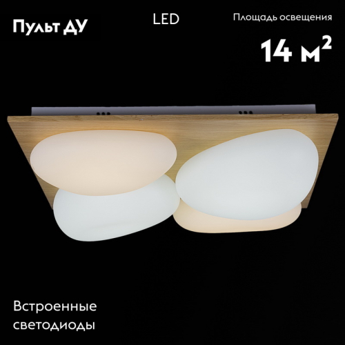 Потолочная люстра Reluce 10010-0.3-80W AEROLITE изображение в интернет-магазине Cramer Light фото 2