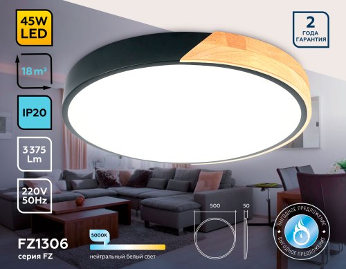 Потолочный светильник Ambrella Light Orbital Design FZ1306 изображение в интернет-магазине Cramer Light фото 2