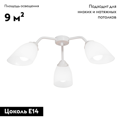 Потолочная люстра Vitaluce V31950/3PL изображение в интернет-магазине Cramer Light фото 2