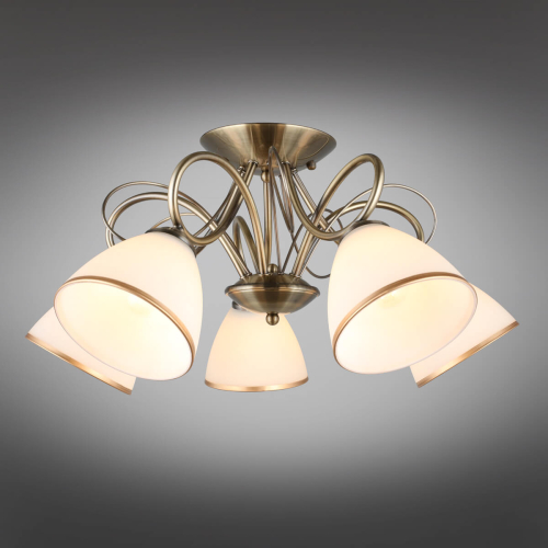 Потолочная люстра Omnilux Alimini OML-25307-05 изображение в интернет-магазине Cramer Light фото 6